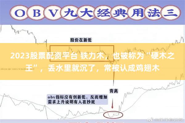 2023股票配资平台 铁力木，也被称为“硬木之王”，丢水里就沉了，常被认成鸡翅木