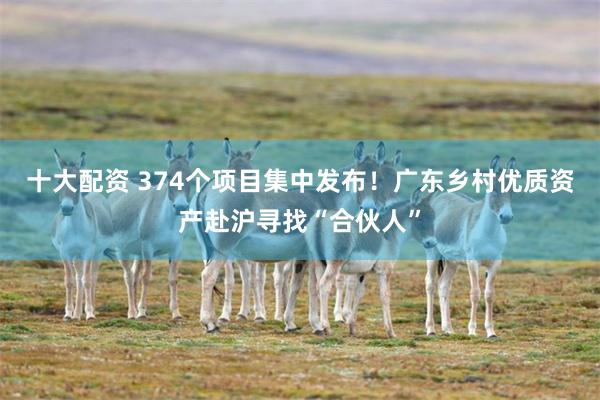十大配资 374个项目集中发布！广东乡村优质资产赴沪寻找“合伙人”