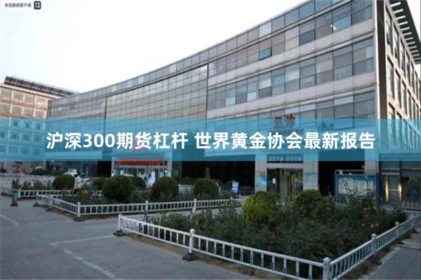 沪深300期货杠杆 世界黄金协会最新报告