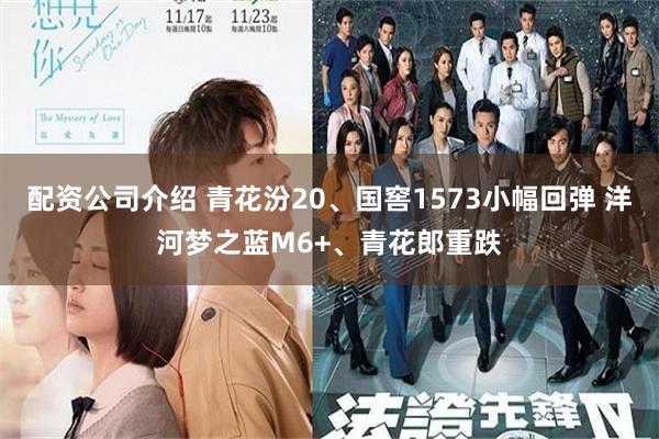 配资公司介绍 青花汾20、国窖1573小幅回弹 洋河梦之蓝M6+、青花郎重跌