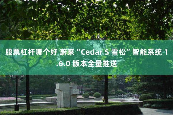 股票杠杆哪个好 蔚来“Cedar S 雪松”智能系统 1.6.0 版本全量推送
