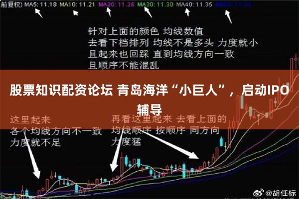 股票知识配资论坛 青岛海洋“小巨人”，启动IPO辅导