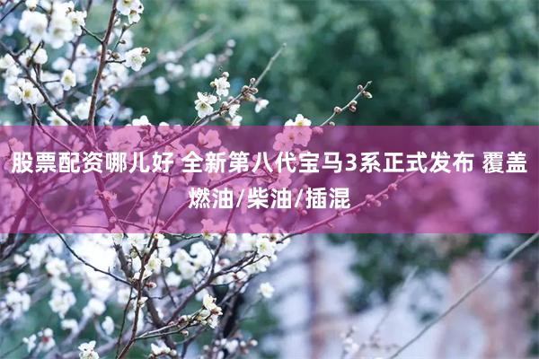 股票配资哪儿好 全新第八代宝马3系正式发布 覆盖燃油/柴油/插混
