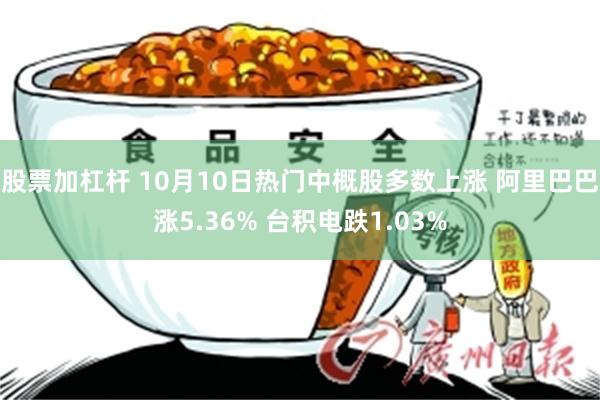 股票加杠杆 10月10日热门中概股多数上涨 阿里巴巴涨5.36% 台积电跌1.03%