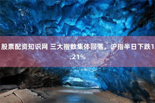 股票配资知识网 三大指数集体回落,沪指半日下跌1.21%