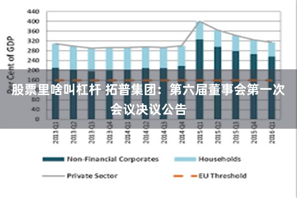 股票里啥叫杠杆 拓普集团：第六届董事会第一次会议决议公告