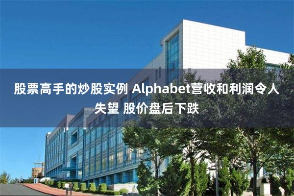 股票高手的炒股实例 Alphabet营收和利润令人失望 股价盘后下跌